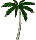 palm
